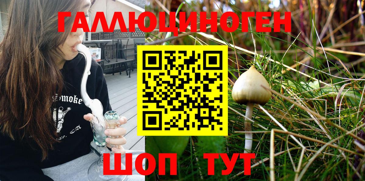 Шахты  Псилоцибиновые грибы MAGIC MUSHROOMS  Вход с VPN 
